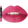 Golden Rose Matte Crayon 17